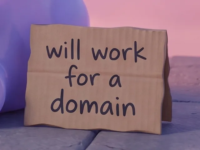 Cardboard sign: will work for a domain